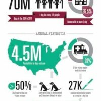 Dog Bites InfoGraphic Dog Bites InfoGraphic