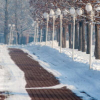 SnowWalkway SnowWalkway