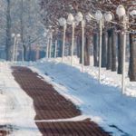 SnowWalkway SnowWalkway