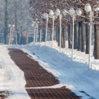 SnowWalkway SnowWalkway